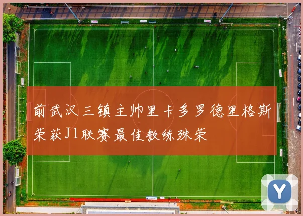 前武汉三镇主帅里卡多罗德里格斯荣获J1联赛最佳教练殊荣