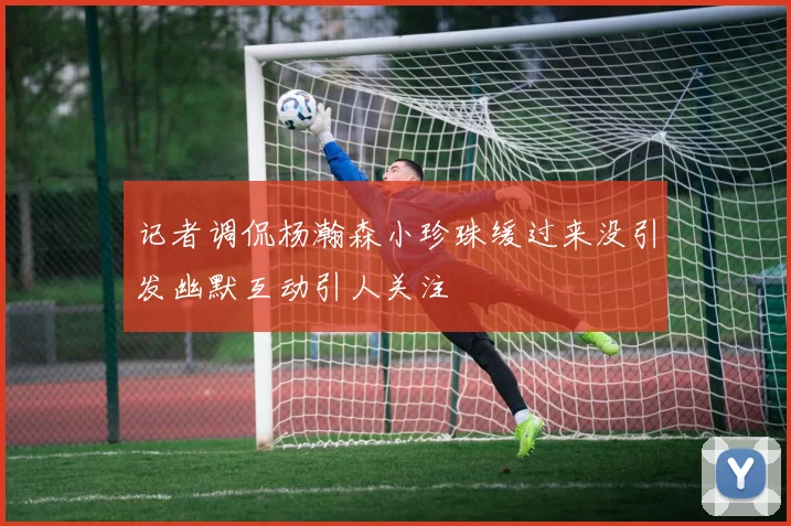 记者调侃杨瀚森小珍珠缓过来没引发幽默互动引人关注