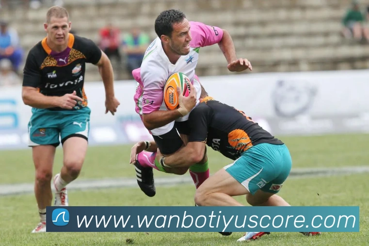 万博体育APP 封面图